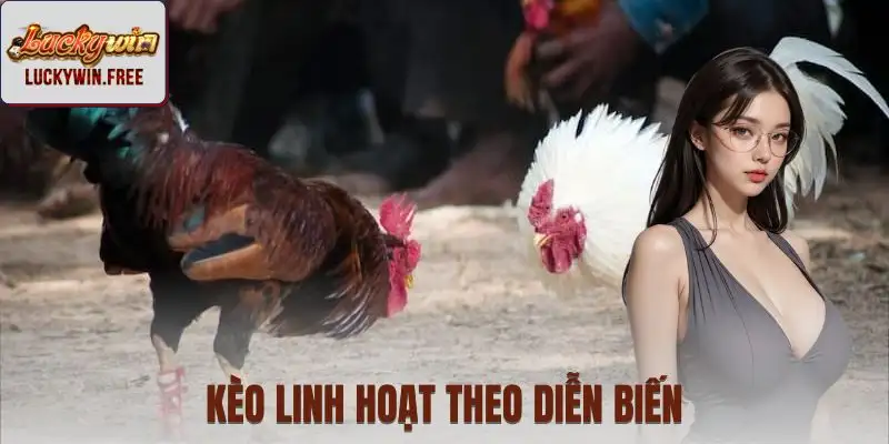 Tỷ lệ kèo thay đổi theo diễn biến trận đấu