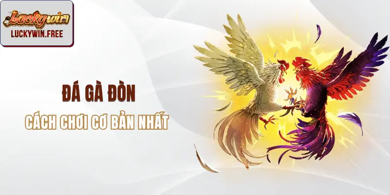 Đá gà đòn