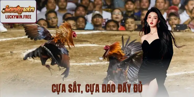 Tiếp cận nhiều sới chọi kê đình đám